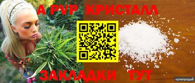 молекула духа Заводоуковск