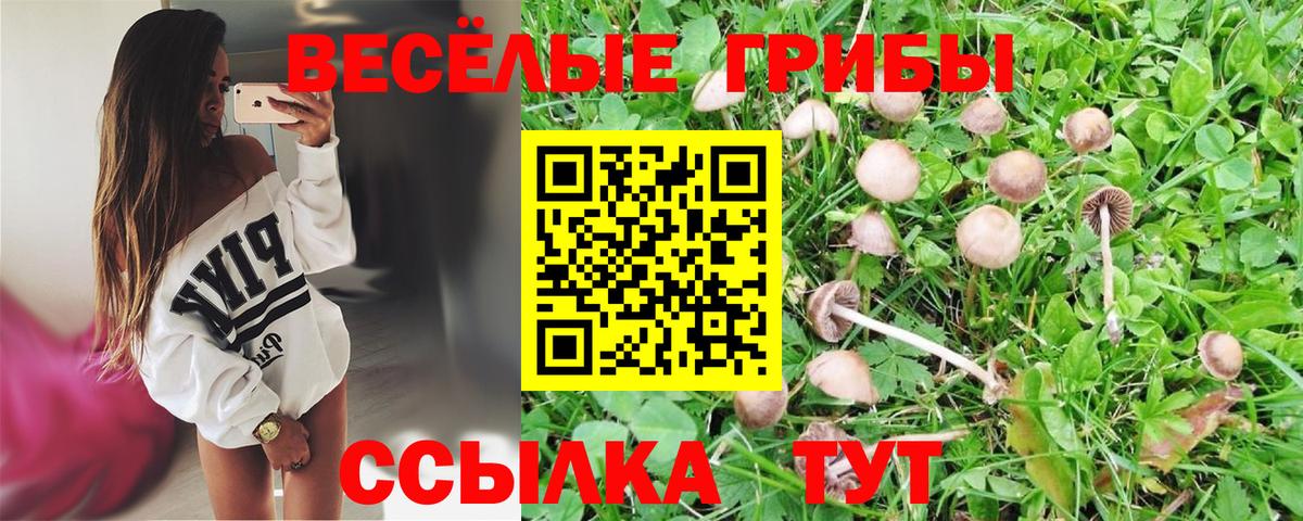 Галлюциногенные грибы ЛСД  Вход с VPN  Ногинск 